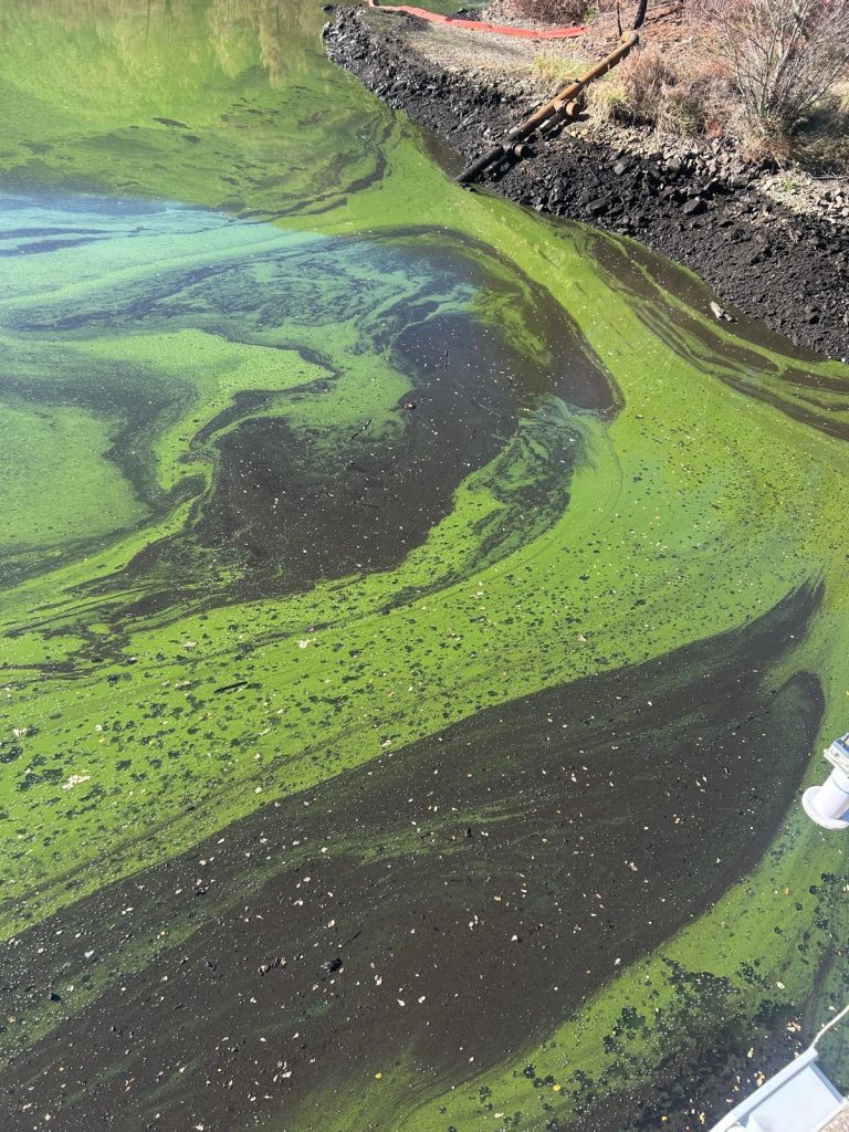 Estado Presa Abastecimiento de Agua Nuñomoral (2)