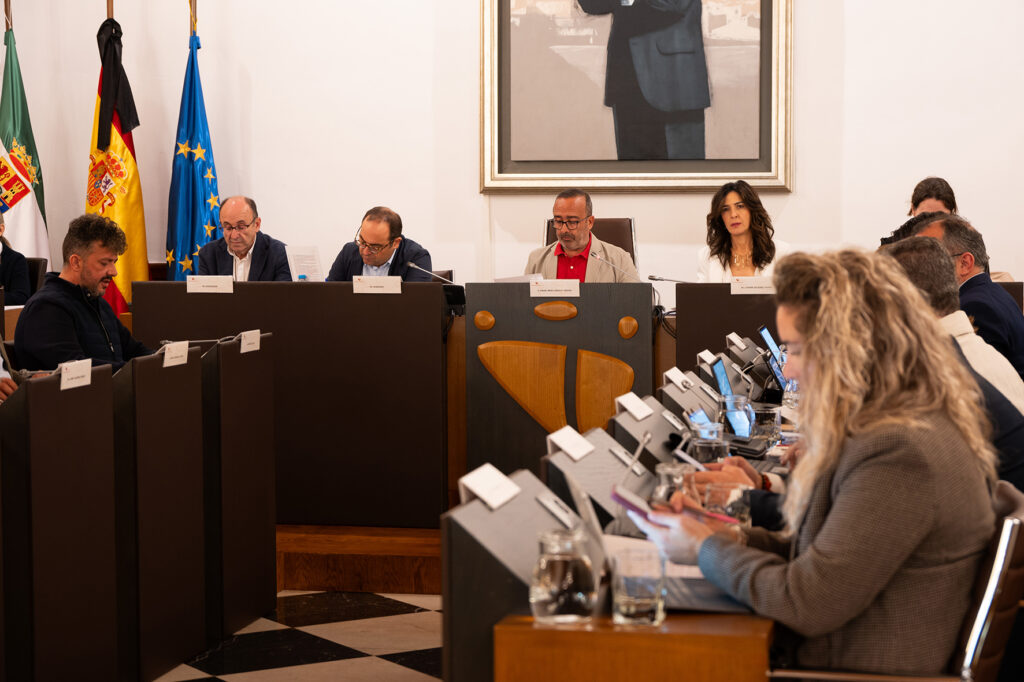 Pleno octubre (4)