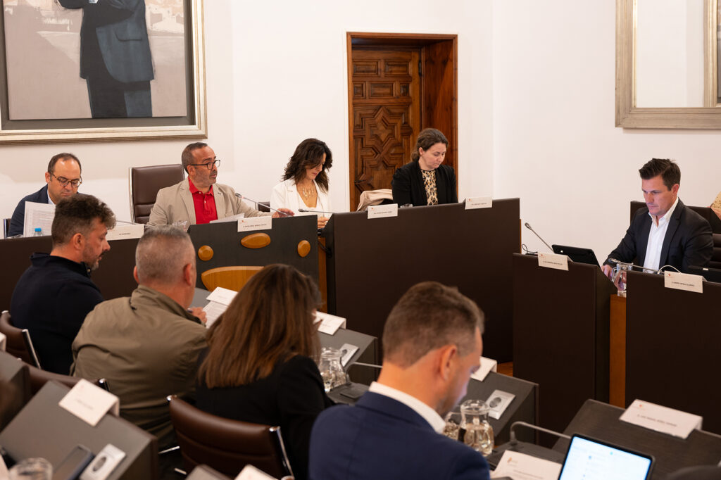 Pleno octubre (6)